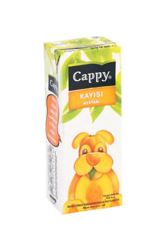 CAPPY 200 ML KAYISI NEKTARI. ürün görseli