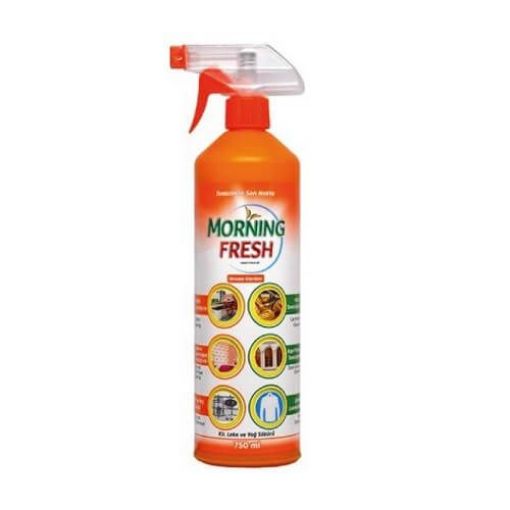 MORNİNG FRESH POWER TEAM KİR LEKE SÖK.750 ML. ürün görseli