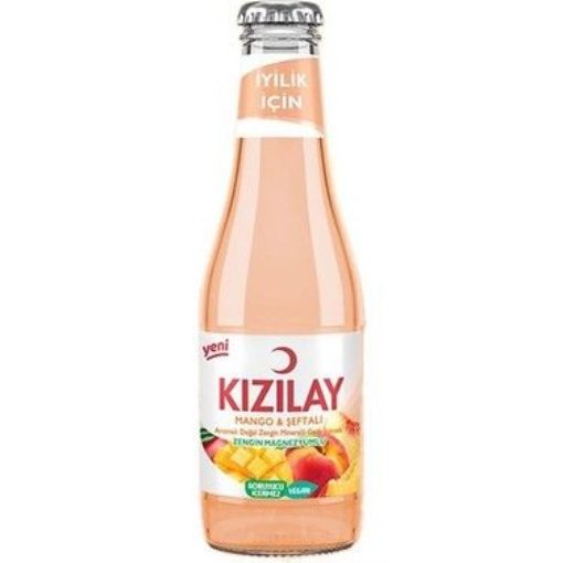 KIZILAY 200 ML ŞEFTALİ&MANGO. ürün görseli