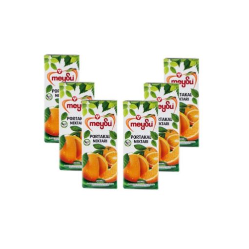 MEYSU DİNAMIC 6X200 ML PORTAKAL. ürün görseli