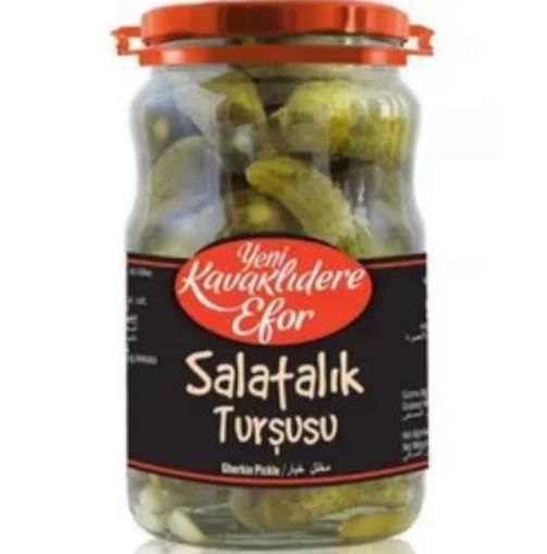 EFOR SALATALIK TURŞUSU 1600 GR. ürün görseli