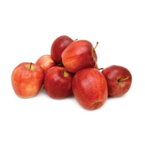 ELMA KG. ürün görseli